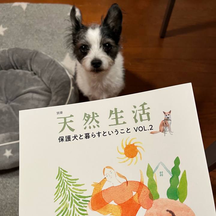 D926d5e3 3587 4538 aa67 e2ef55bfb2c0 1670333139170