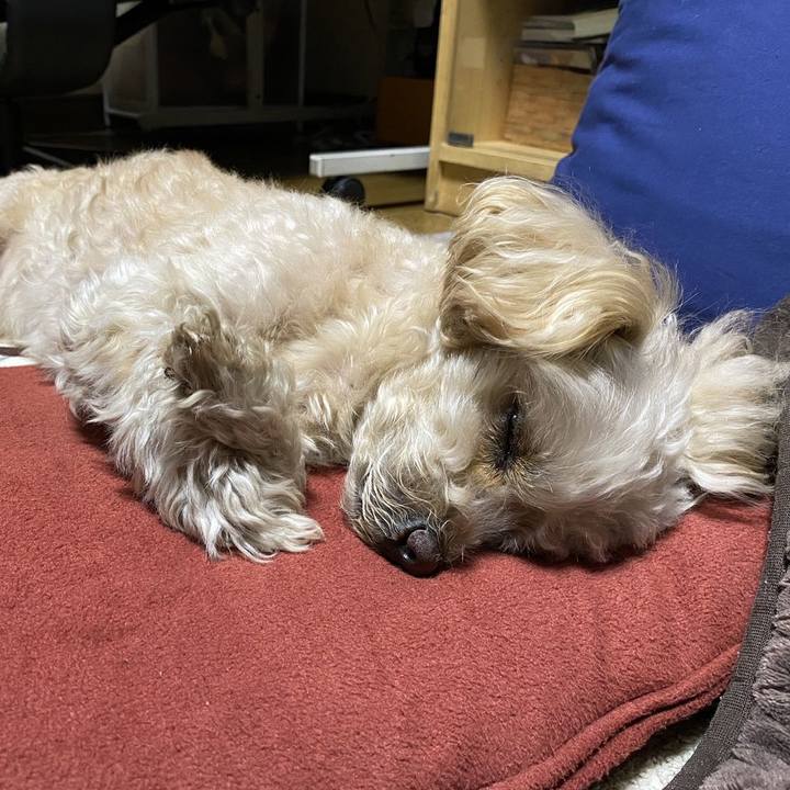 D926f68f 4a91 44c9 8e0f b0bce51df625 1672582867788