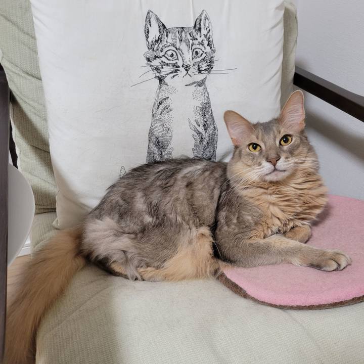 D92725ec 89cf 47fd 93f7 af6f9a1cd576 1640521928844