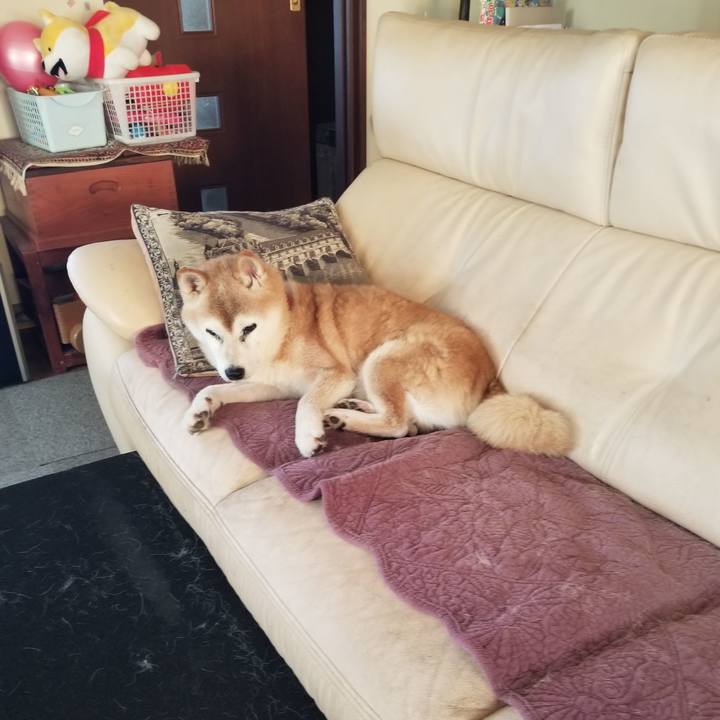 D927547d 0322 4df8 b0f7 8f724ea00050 1757376606428