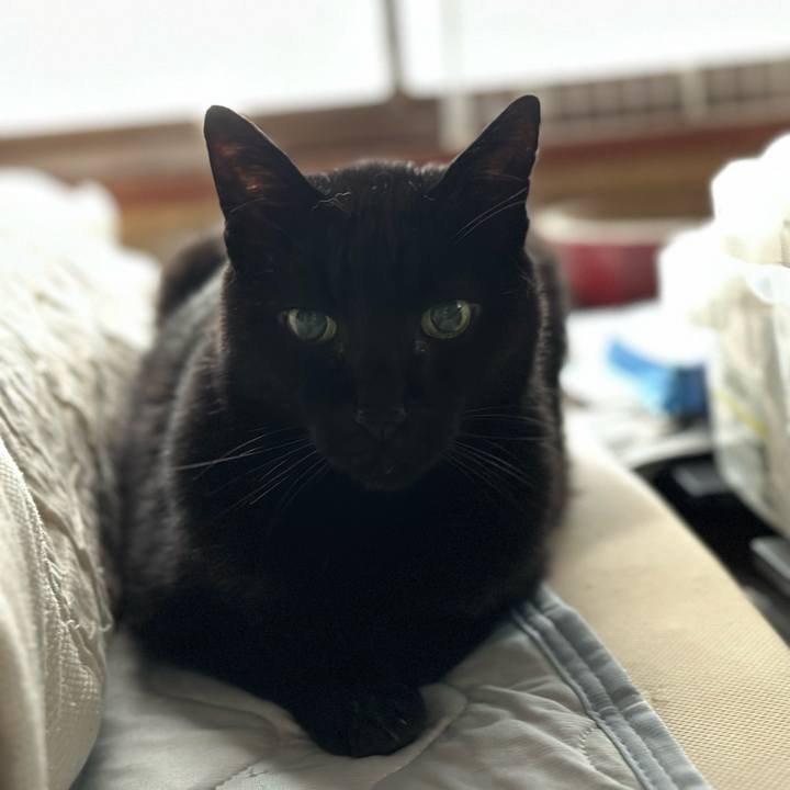 D927873f 0b61 49aa 8f99 8557a231eb90 1684460199346