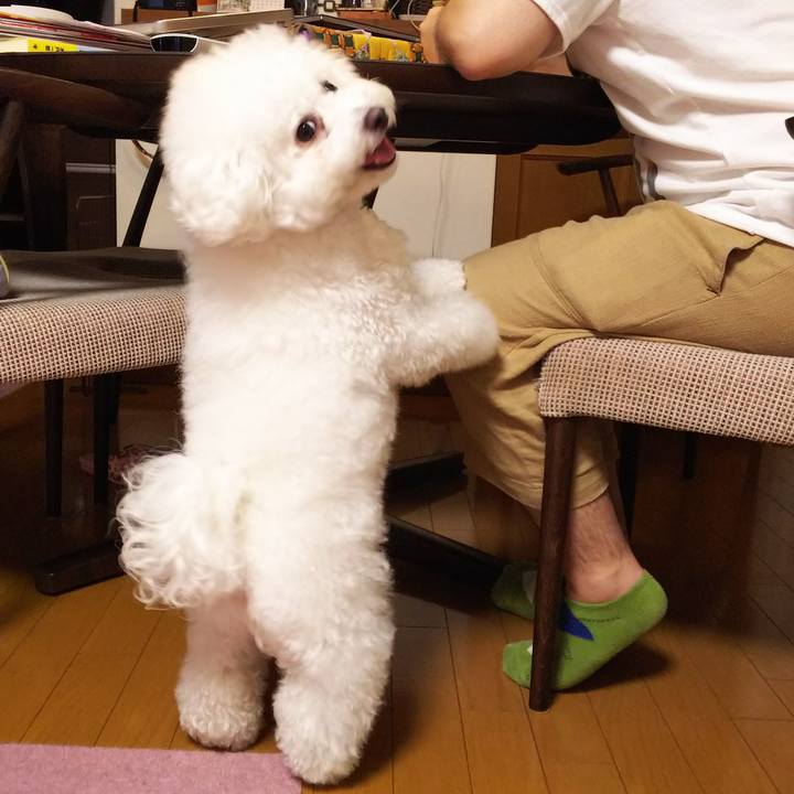 D927f2dc d2b9 4927 9ee9 76dc315e0604 1532256274220