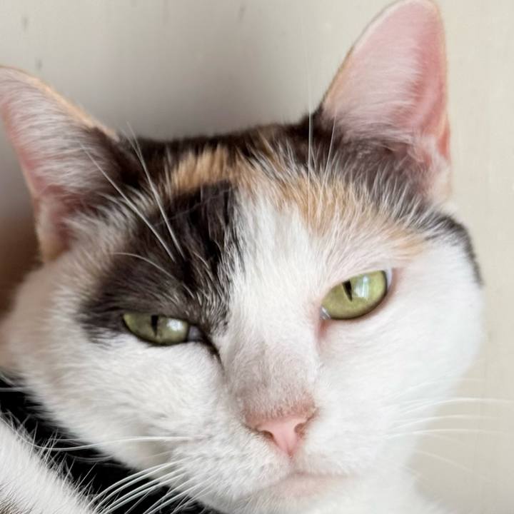 D927f3c2 3af1 4ae9 8329 ab873089a460 1759802054930