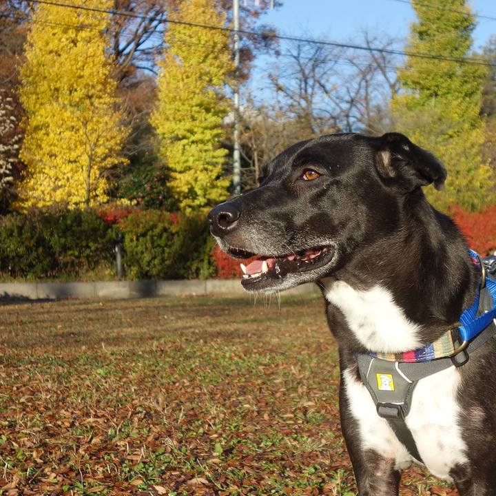 D927f478 b069 411f 80d3 b164aa8e1ec9 1638233282556