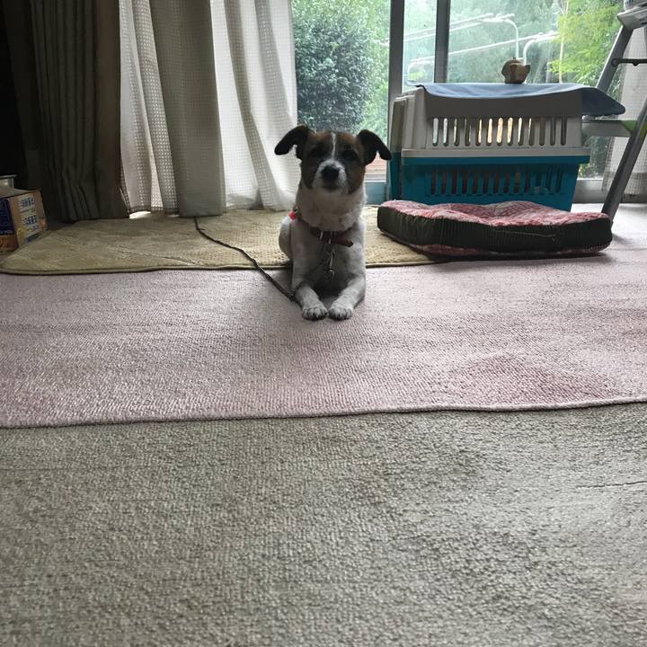 D92805cb 128e 48e7 933a 2584121d33fc 1539385435862