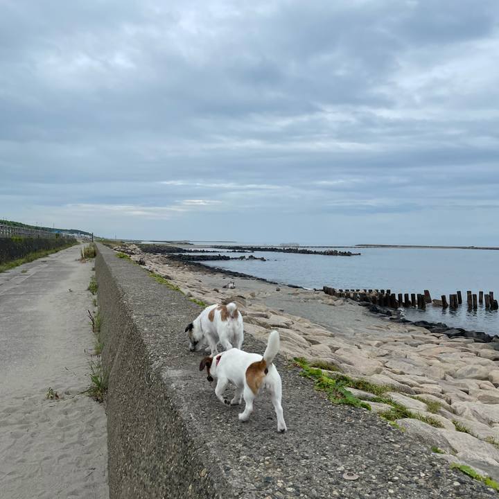 D92832cf 77a0 44fe 9eb3 3de8861d3fb4 1627343557188