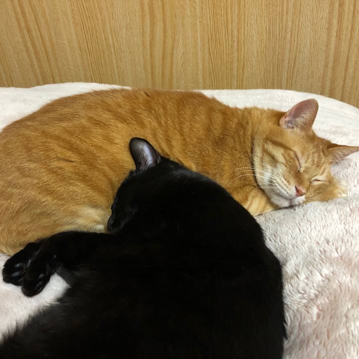 D92837ca aa75 4fa5 867e 66d4983c071f 1710238891455