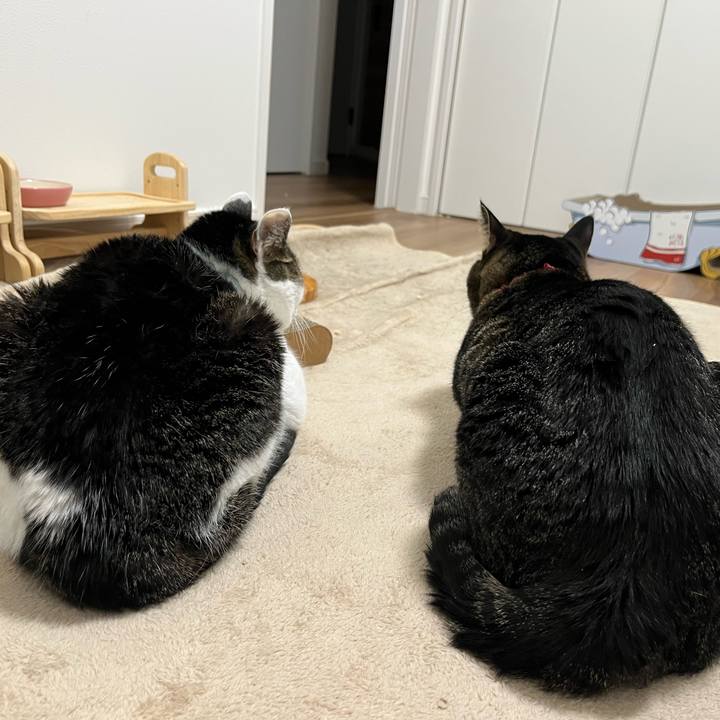 D9283a23 8327 4d6b 94d6 a9bd03860187 1765368850164