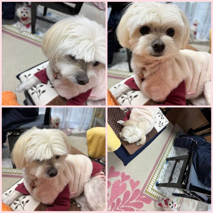 D9283f9d 94f0 4e6e 81d8 017665f0d613 1738924204955