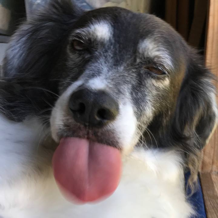 D9285b36 b6b6 4c4d 9194 4c084a74f436 1536660551482