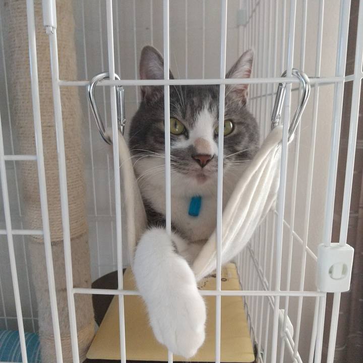 D928d875 4494 4906 ad42 3d6b58534671 1605947100816