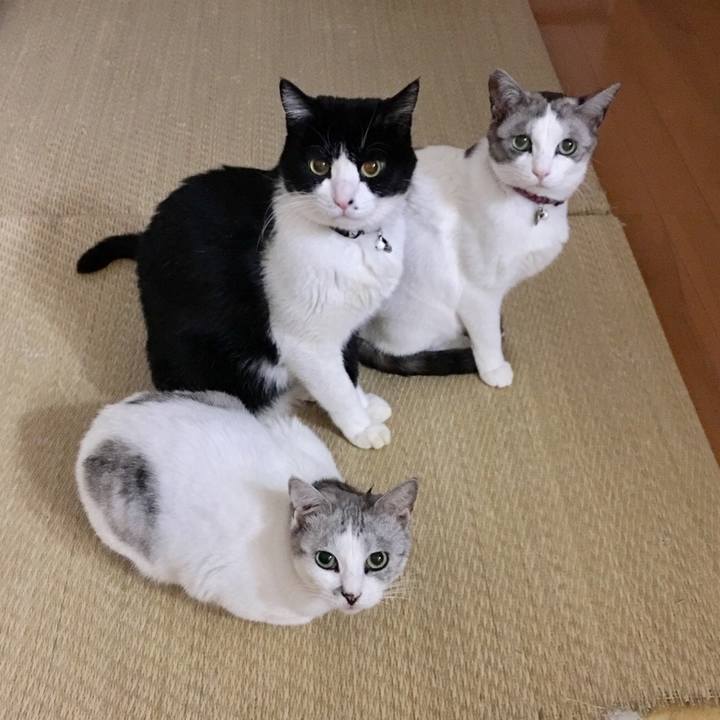 D928fcc0 89cc 4b43 85fa 5cdbd4d32384 1512654742850