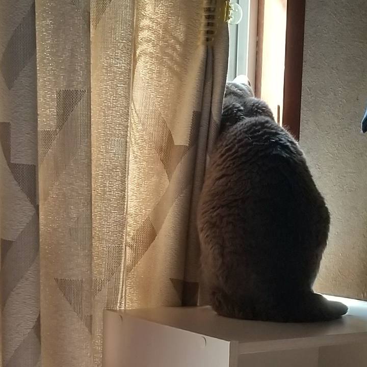 D9291bf4 6f7b 49f3 b4ca 9d7e233de122 1682724884544