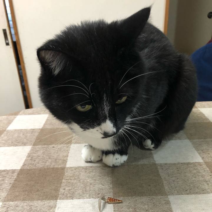 D92970e7 d4c4 4146 ba52 d84f1103b1d6 1620964012225