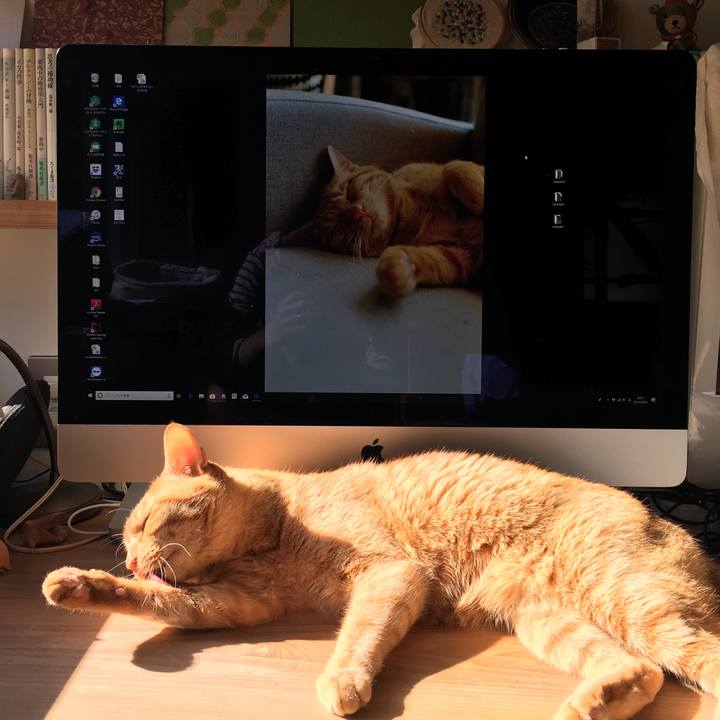 D9299820 7cd7 4bcd b8b5 62a6bb980371 1555632180810