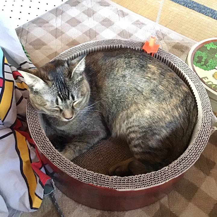 D929b399 4a4f 479b a4c0 fa27a615ec71 1608090283857