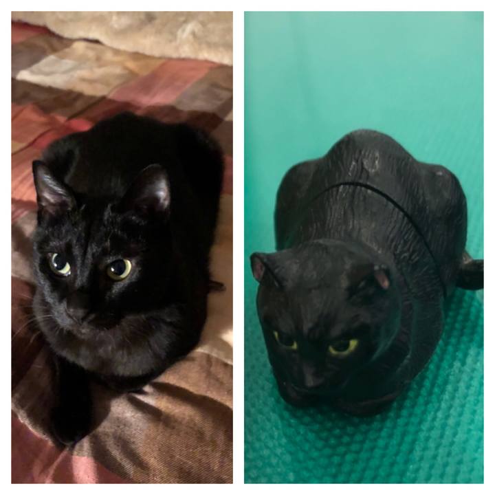 D929ba5a dca1 4757 92a0 ca4ff90bfe5f 1680622107689