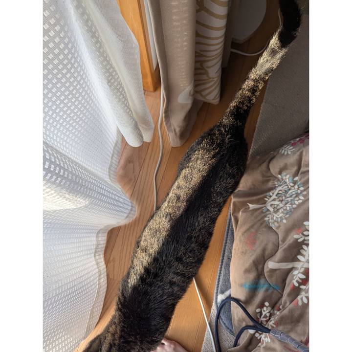 D929bf5d f43b 48f9 8f69 74db9f2e56c8 1773906557644