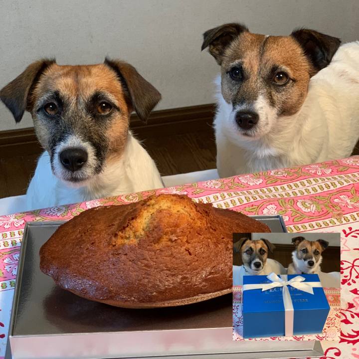 D929d491 5cb6 4fd5 80a9 8e50394ca810 1578700352325