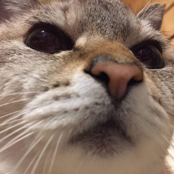 D929d846 0d53 4a7b 8364 41f04515aed9 1578488191896