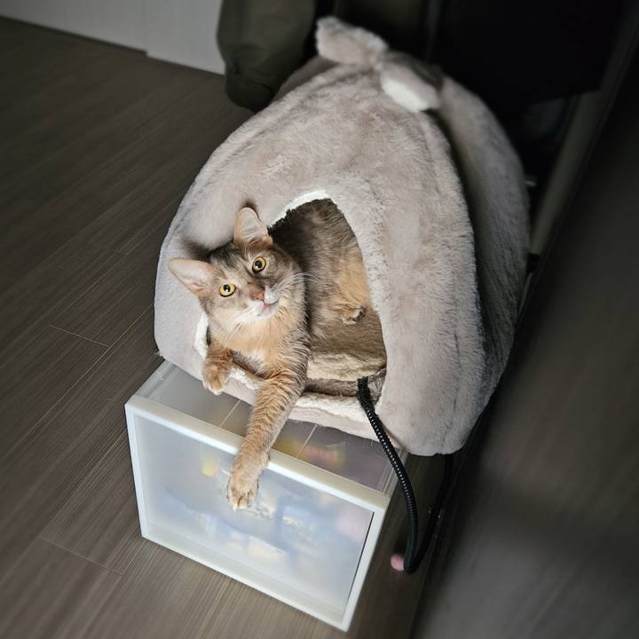 D929de25 257f 401c 8ea0 0ec3626e8a24 1773750402582