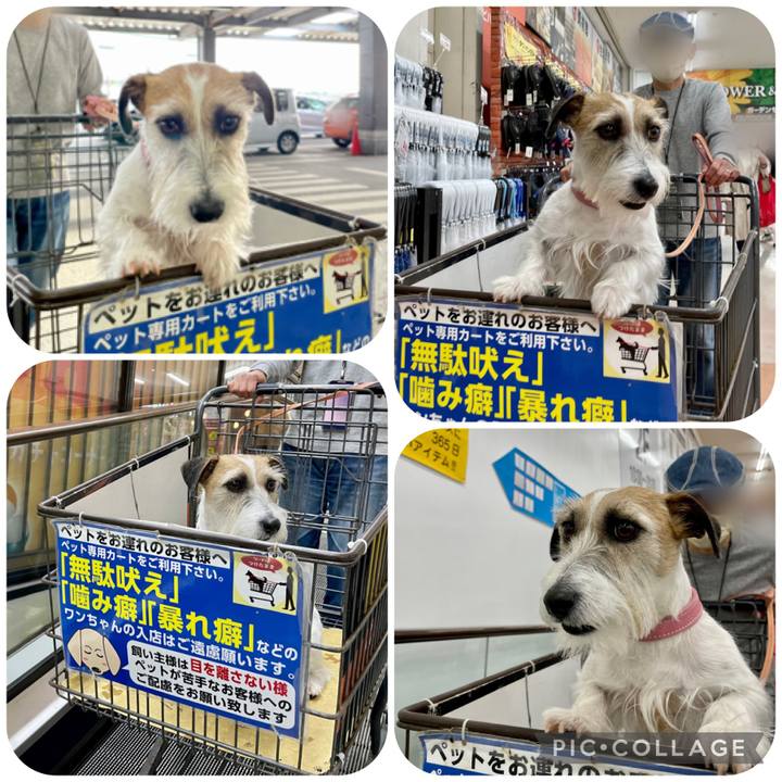 D92a10f0 4c64 405f ac3d f3fc16cacb75 1676203949139