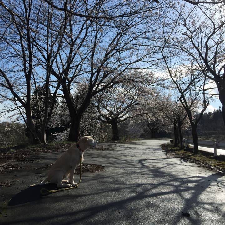 D92a1c9b 136b 4020 9077 01dba059d649 1584426223733