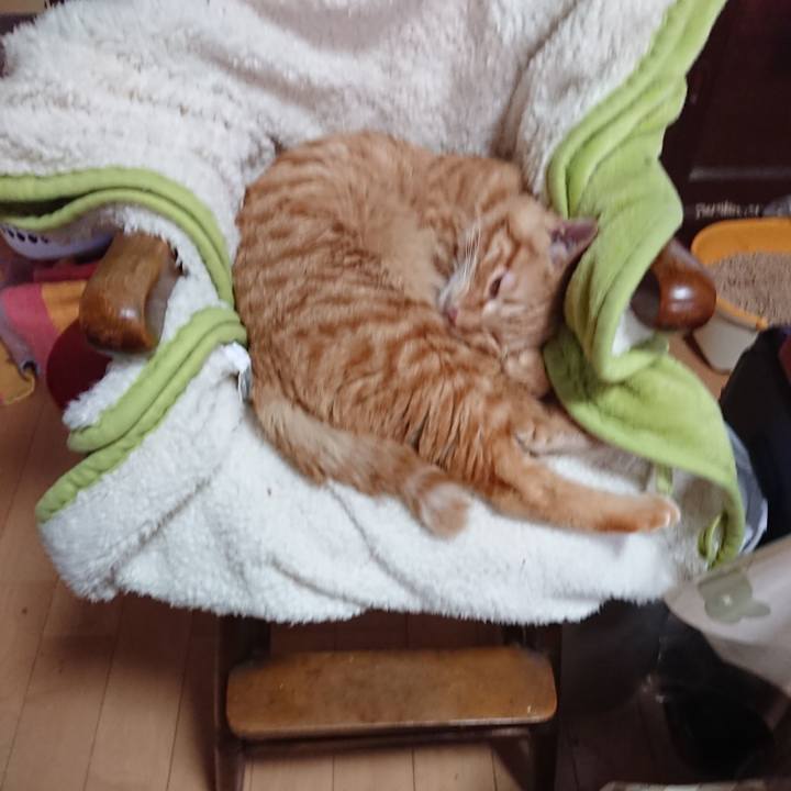 D92a36c9 3b08 4e2d 8c2a c6f66281c5a2 1640929089609