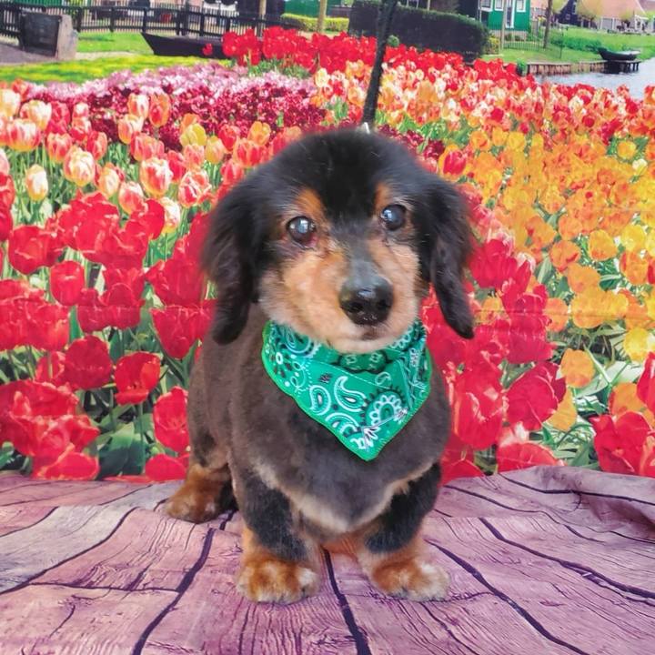 D92a3b30 19f4 4e12 a93b 26e823e1959f 1746784905081