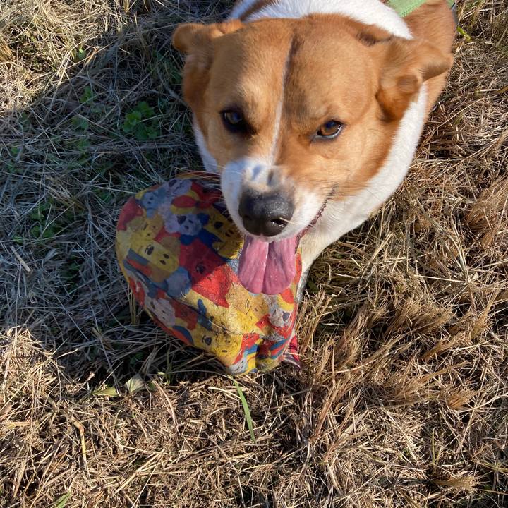 D92ab73b 34a1 43ae ba98 2f5cf38c38ba 1732869433779