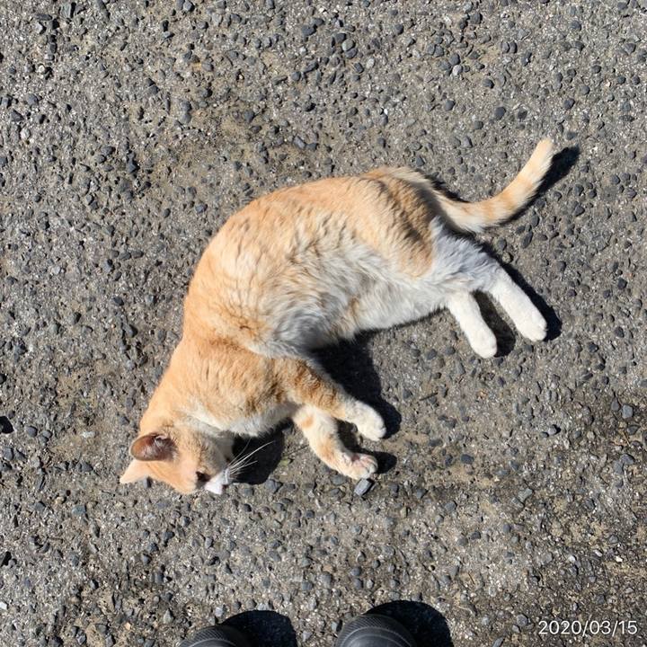 D92ab892 9f9c 4f72 b045 141a620aa709 1584234424214