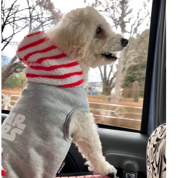 D92b0b03 a8a0 4f5d b744 be822e656f1a 1550324322933