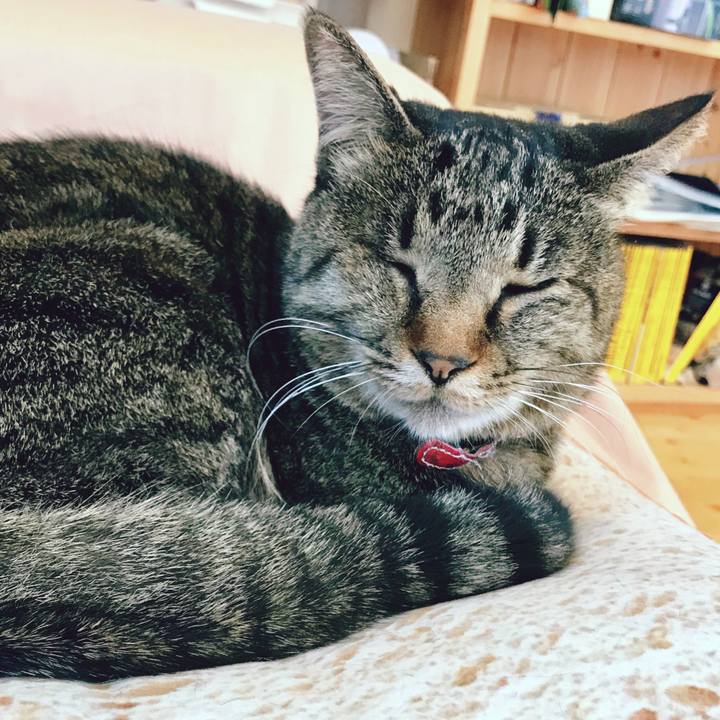 D92b9ed4 0048 49ac af6e 219503e953d5 1522199974767