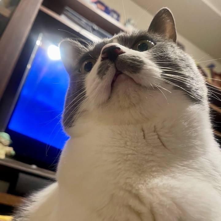 D92bcf3e d001 493b 97d8 f24606b160c7 1737299049057