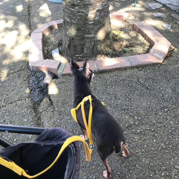 D92bdbdb 583b 44e6 920c b5586285ab41 1534577050474