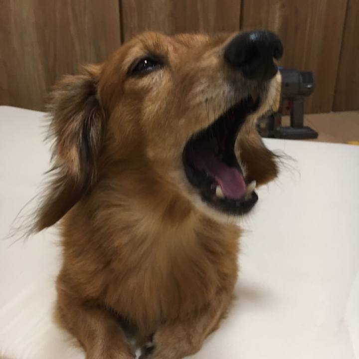 D92bdee3 768b 46a6 b08e 2f194b376e0e 1531565689923