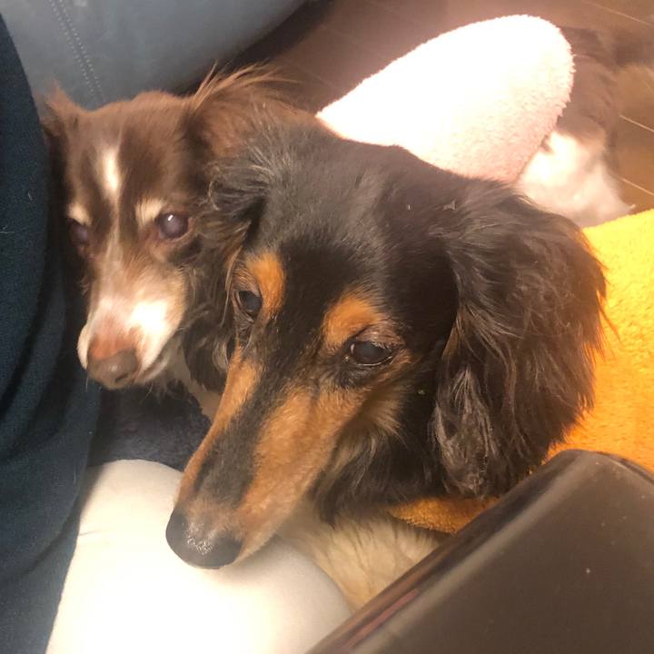 D92c2bf1 e62a 4ea5 86d9 6e2044661514 1580940781510