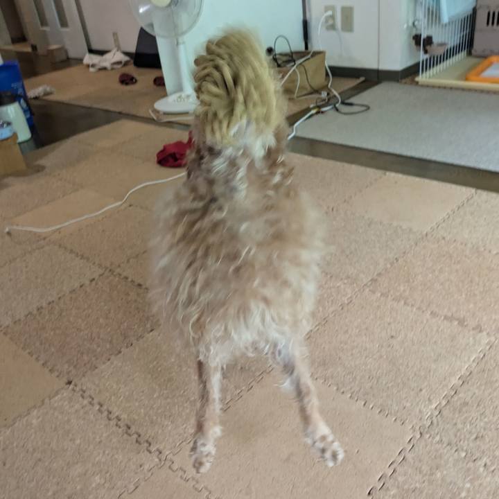 D92c6cd1 01fa 407a 928a 3f1ffda0602e 1723342706040