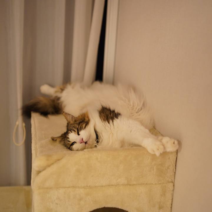 D92c80d3 e7d5 4e50 b287 4b41edf1e6e8 1622559266822