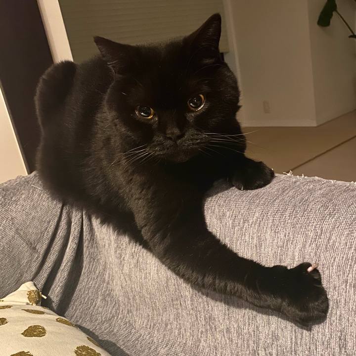 D92c9e27 9a4c 4ccc b116 92b0c8d8239e 1748610818938