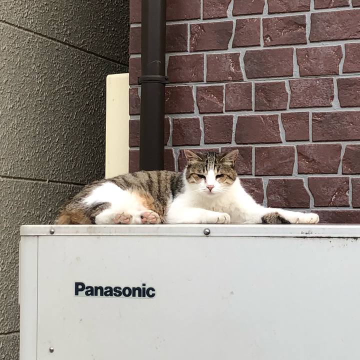 D92d1f4f a21a 489f 8508 8498537576a9 1530242816760