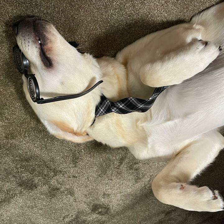 D92ddeff 9f98 4bd4 81be bca4530300ee 1625063526130