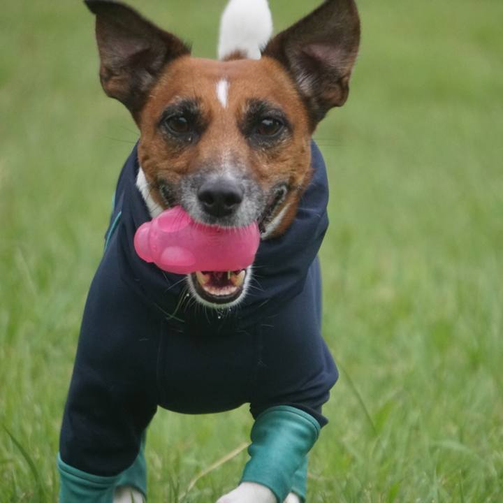 D92e5c7c 0b85 4fd7 9633 4804ac7031cb 1536100745028