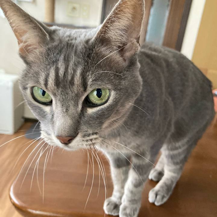 D92e8d3d 39e7 4b37 9190 84919718c7ea 1700887797444