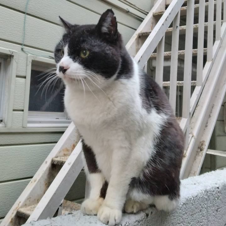 D92eaeef e79a 41c8 8d52 0e6d1406537d 1705589009517