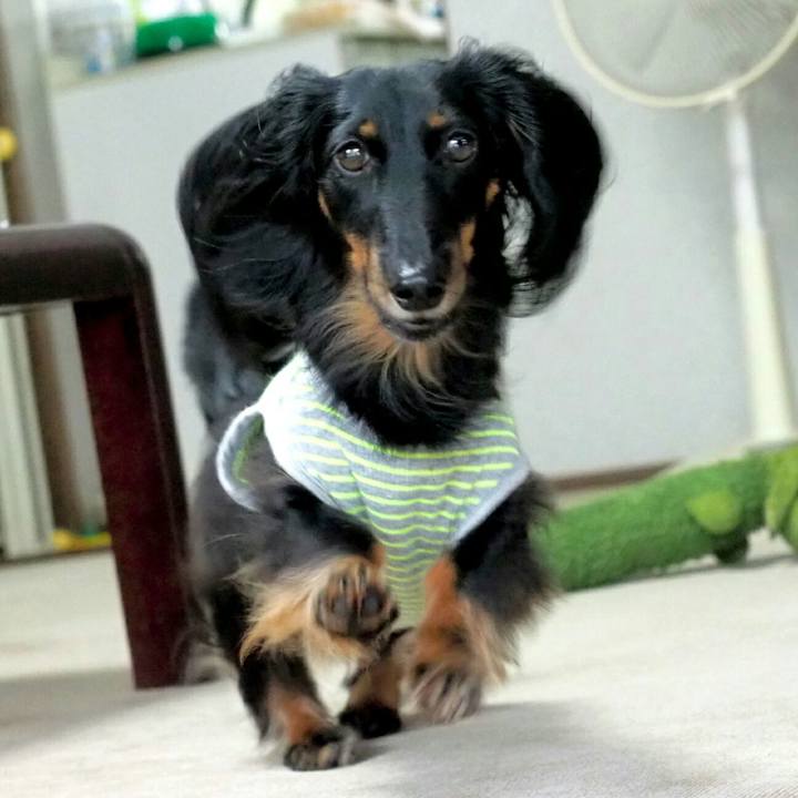 D92eb872 d713 4e25 ba2e 2072bf5507de 1532565818779