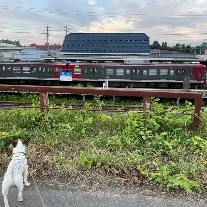 D92ef01b 63b7 4aa4 8f6c 8e30f0111767 1627298137803