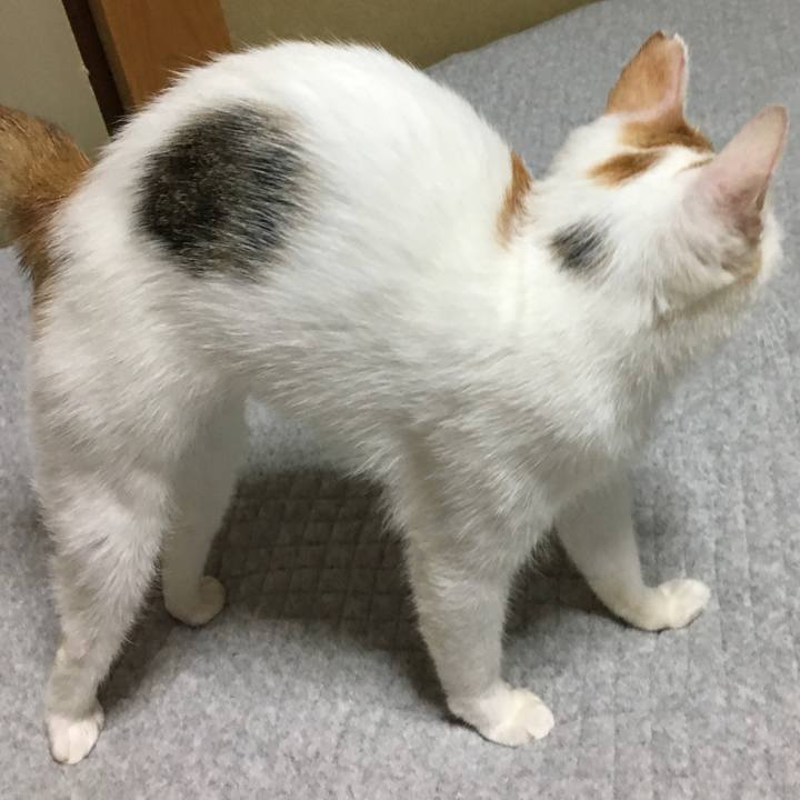 D92efd9a 7eab 40ee 9df1 47fa2a7b9097 1600597432206