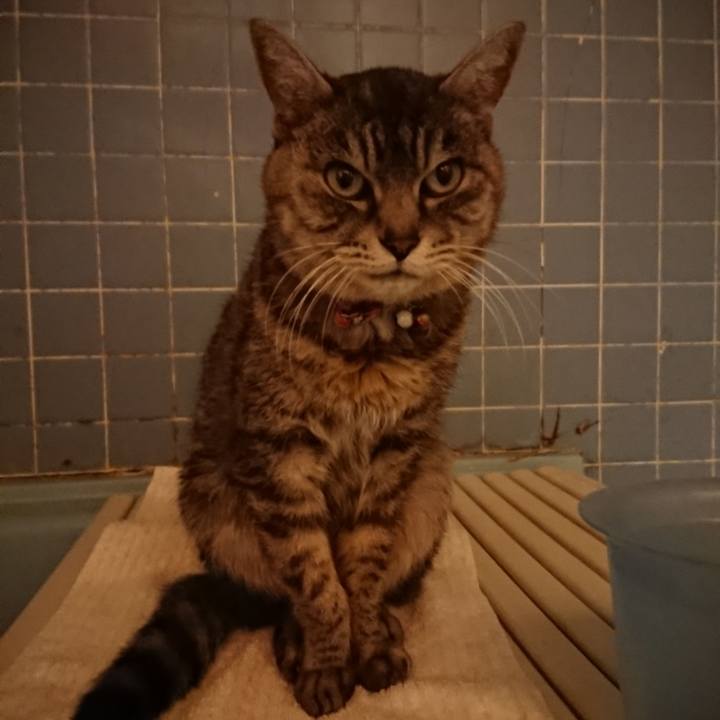 D92effec 5857 4752 ac8f 7de2b728dabc 1581413838573