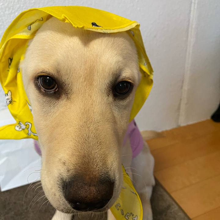 D92f34f5 10c8 4b71 9d24 3bdb07124988 1617699847775